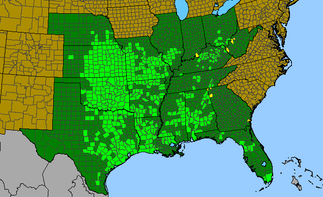 The range of Asclepias viridis